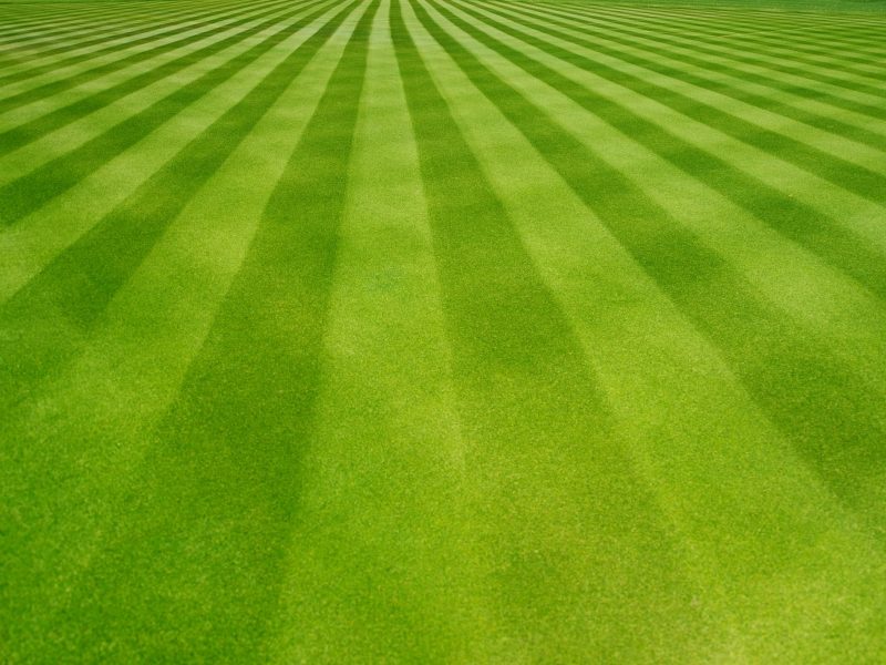 Green striped lawn pattern texture.